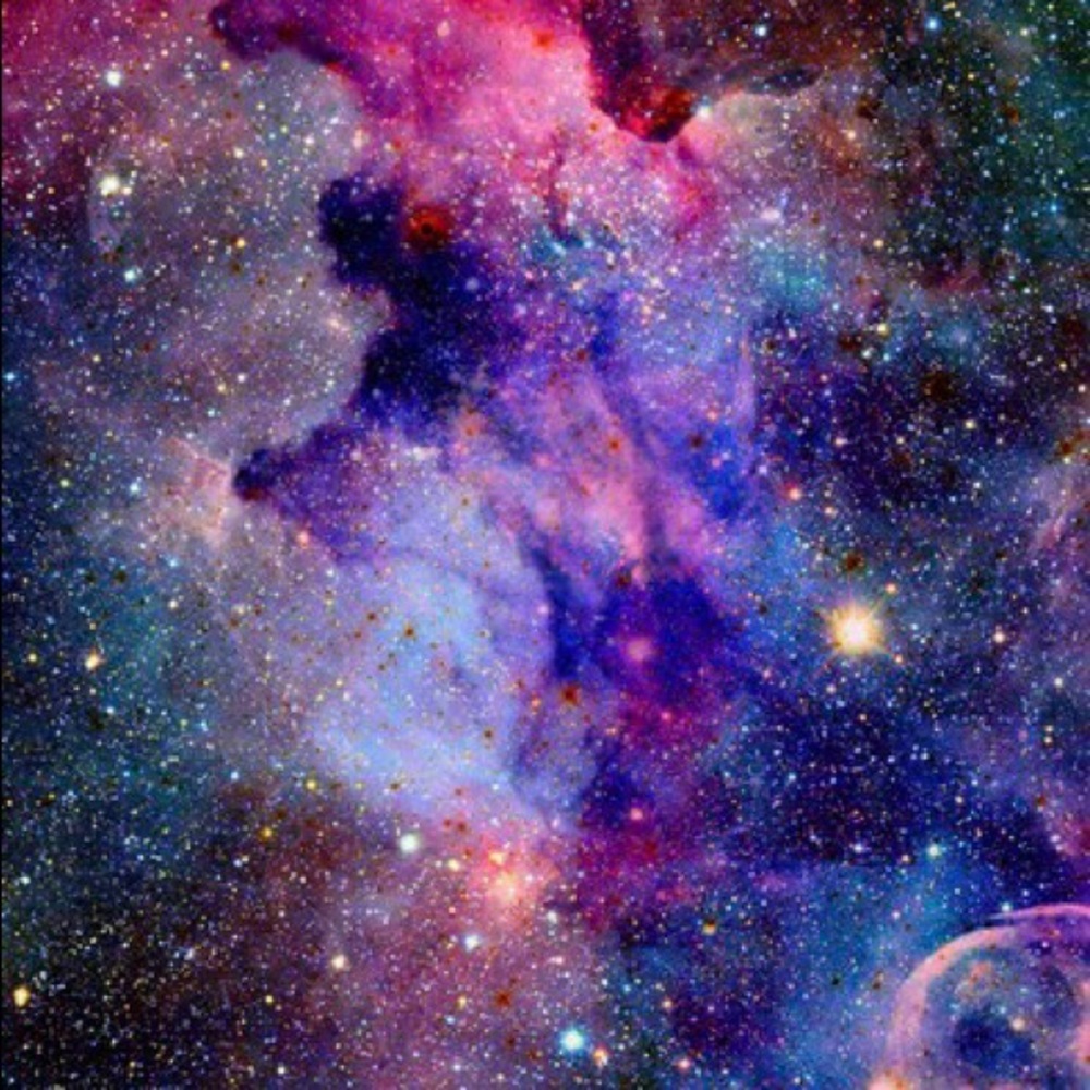 Meet your Posher, Annie